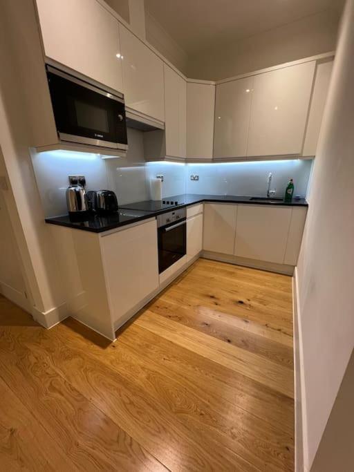 Cozy Modern In Apartment Croydon