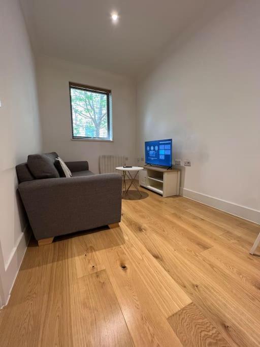 Cozy Modern In *