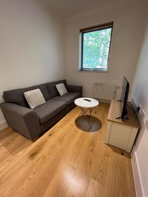 Cozy Modern In * Croydon