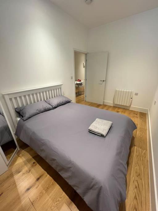Cozy Modern In Apartment Croydon