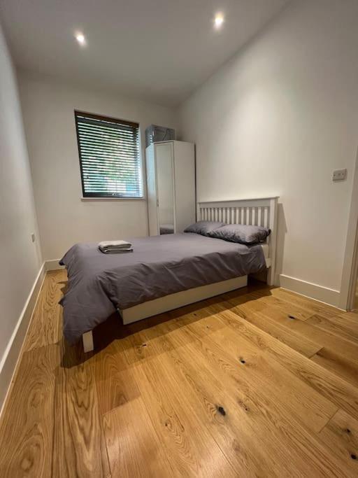 Cozy Modern In